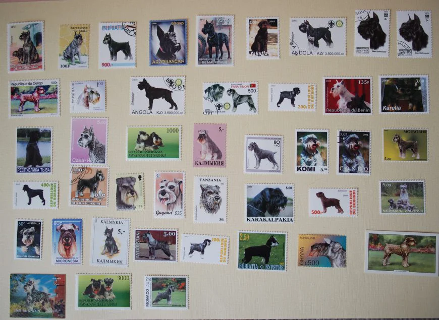 почтовые марки с собаками