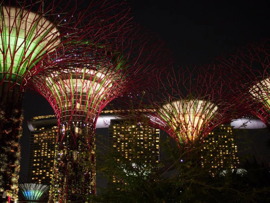 Gardens by the Bay ночью сколько стоит как добраться путешествие в Сингапур Елена Чемезова тревел блог