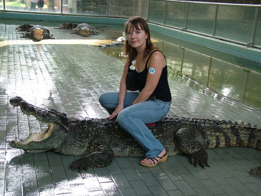 крокодиловая ферма в Таиланде фото шоу крокодилов Паттайя лучшие экскурсии