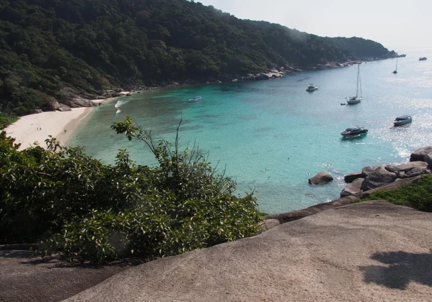 бухта Дональд Дак